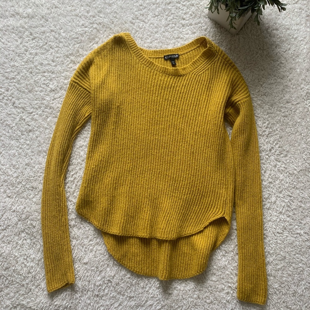 Express Knit Sweater